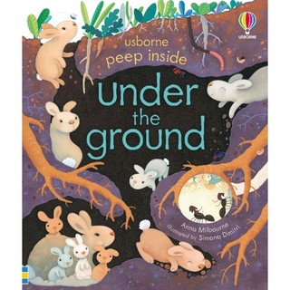 英國Usborne偷偷看一下 地底下的世界Peep Inside Under the Ground