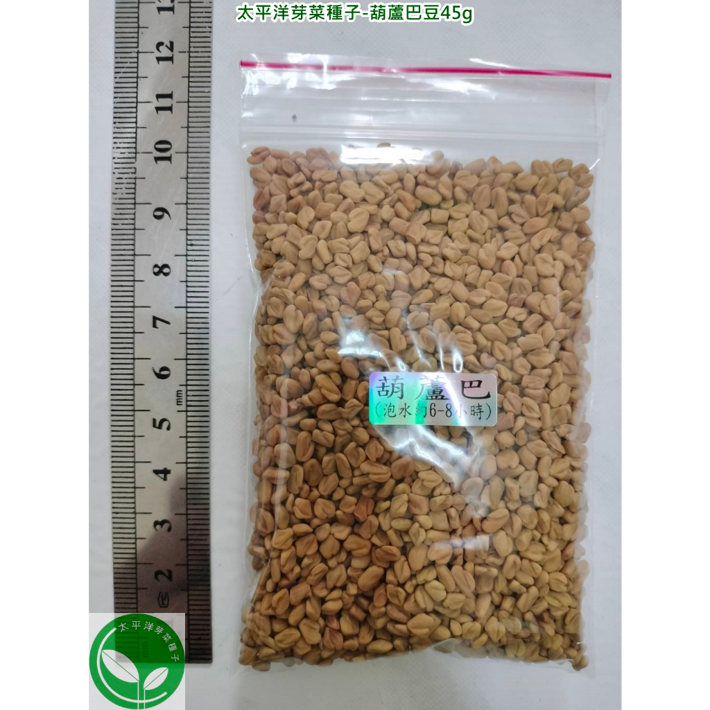 葫蘆巴豆種子45g-印度-約2700顆-可水耕/土耕/煮食-85%以上高發芽率-芽菜種子/生菜種子/芽苗菜種子/土耕種子
