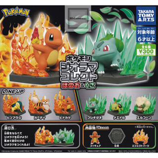 【LUNI 玩具雜貨】TAKARA TOMY 精靈寶可夢特效公仔-火與草系篇 神奇寶貝 扭蛋 轉蛋 整套6款