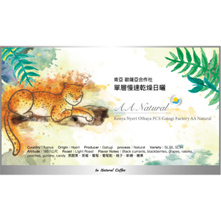 陽光夏 新鮮咖啡豆 (淺中烘焙) / 肯亞 歐薩亞合作社 單層慢速日曬處理法