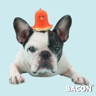 【你和我的狗】 韓國正版 Bacon 章魚香腸 乳膠玩具 寵物玩具 【現貨】 狗狗玩具 耐咬玩具 小狗玩具 韓國玩具