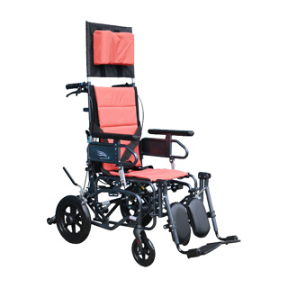 【海夫】輪昇 鋁合金手動輪椅(未滅菌) 杏華 鋁製空中傾倒+躺式輪椅 12吋後輪 輪椅B款 附加功能A+B+C款