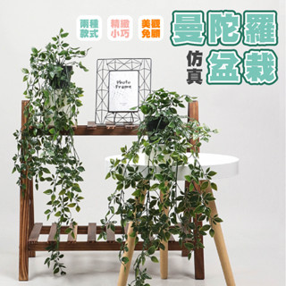【點綴空間的好選擇】曼陀羅 垂掛盆栽 藤蔓 模擬盆栽 人造盆栽 綠植擺設 仿真植物 人造花 盆栽 植栽 室內 擺設 植物