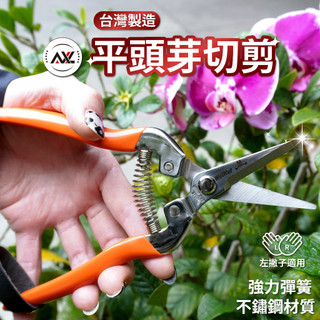 AXL 不鏽鋼長刃芽切剪 花藝修枝剪 日本鋼刀刃 輕量順手園藝剪刀 盆栽樹枝摘果剪 台灣製造好剪不卡枝