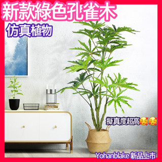 ✅北歐仿生植物✅孔雀木 假色植物 綠植 盆栽盆景 室內裝飾 模擬綠植 擬真孔雀木 假樹 假植物