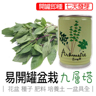 九層塔 盆栽 香草植物盆栽 iPlant 易開罐頭盆栽 花卉農場 懶人盆栽 種子 盆栽 臺灣製