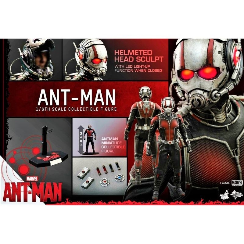 全新 野獸國 Hot Toys MMS308 漫威復 仇者聯盟 Ant Man 蟻人非 MMS362