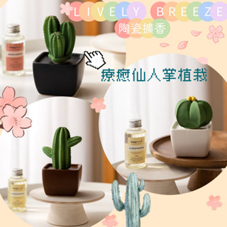 【泰國進口陶瓷擴香】擴香 Lively Breeze 仙人掌陶瓷擴香器(不含精油) 辦公室小物 生日禮物 畢業禮物 療癒