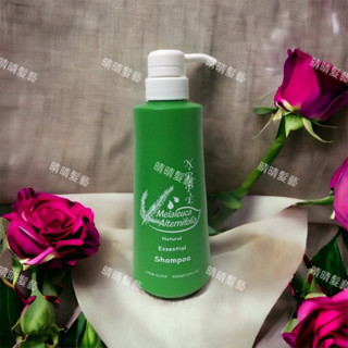 現貨可刷卡💞芝彩nppe茶樹洗髮精500ml