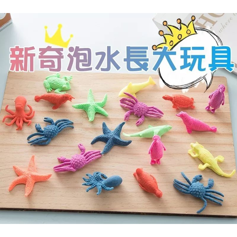 💕雙寶媽💕 神奇 泡水玩具 膨脹玩具 吸水玩具 動物系列 海洋生物 長大玩具 科學 蝦 魚 海星 恐龍 禮物