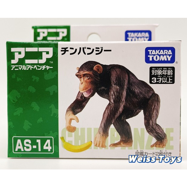 ★維斯玩具★ TAKARA TOMY 多美動物 AS-14 黑猩猩 全新現貨 探索動物 不挑盒況