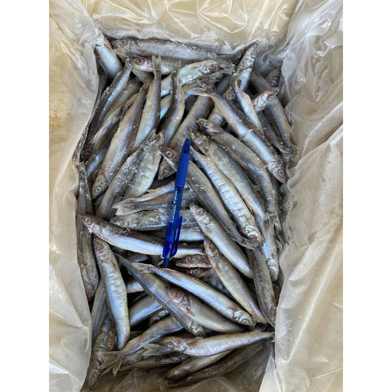 柳葉魚8成有蛋 一箱6公斤批發價