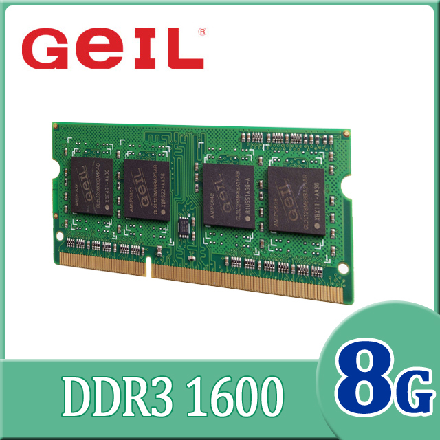 DDR3 8GB 1600mhz