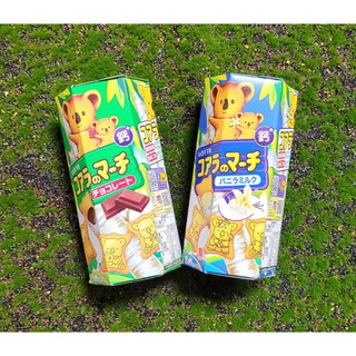 【Lotte】樂天_小熊餅乾_濃黑巧克力_巧克力_牛奶_草莓_煉乳(37g)