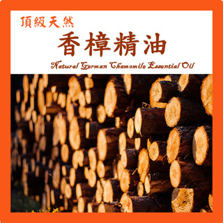 香樟精油 樟木精油 特級天然單方精油 草本植物精油 Cinnamomum camphor