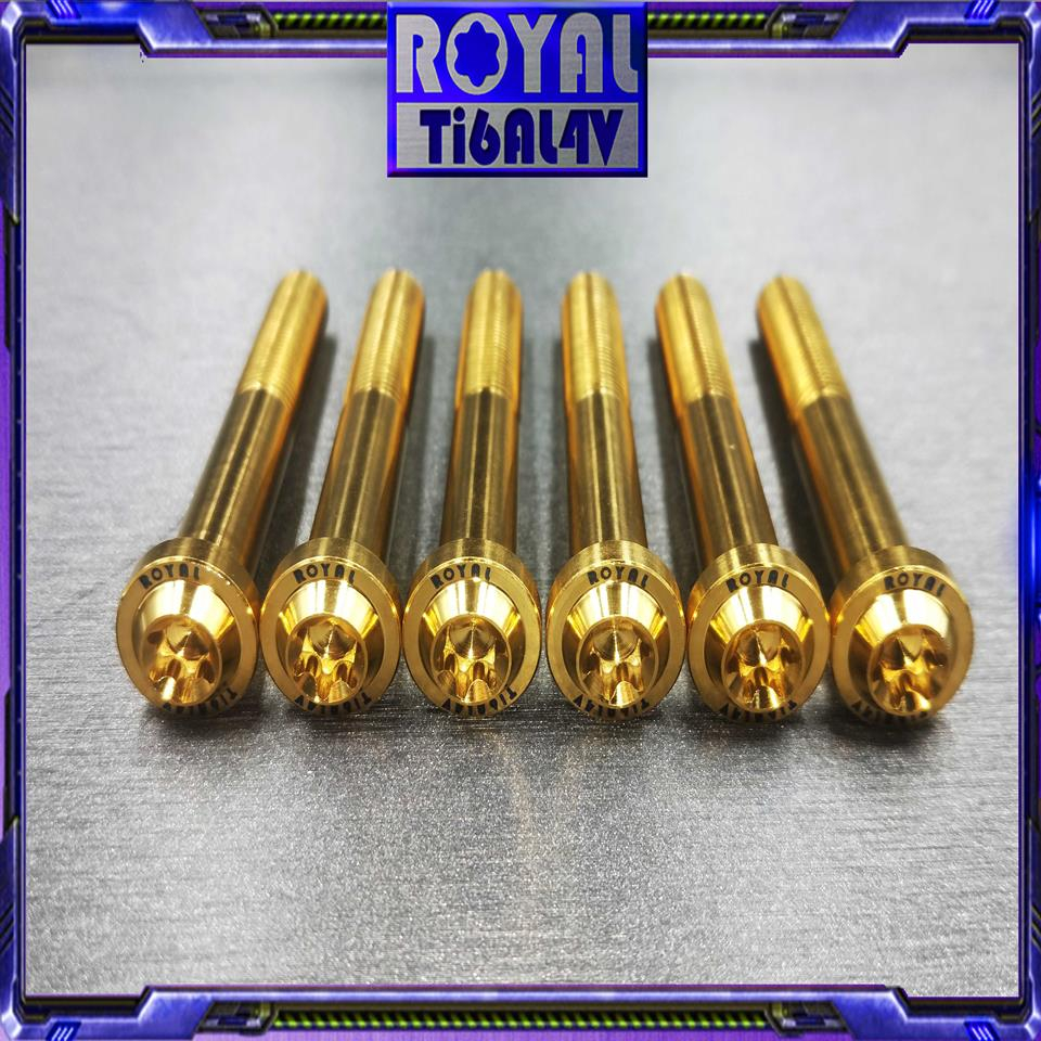 【瘋螺絲】ROYAL鈦合金螺絲★M10*80F P1.25 64正鈦螺絲★CNC鍛造內梅花.內星型螺絲★土豪金