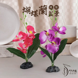 【竹木鳥和風餐具】蝴蝶蘭盆景模擬花盆飾冷盤花擺飾花盤飾臺灣現貨拼盤點綴辦桌擺盤塑膠花假花人造花意境擺飾創意料理拍攝道具