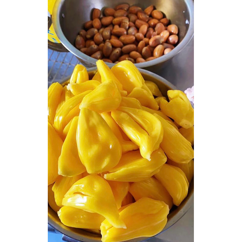 ❤️免運優惠！阿富阿珠 波羅蜜 菠蘿蜜 純果肉 種籽 Jackfruit