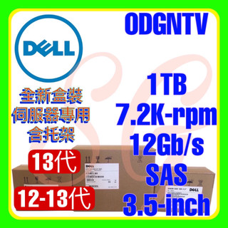 全新盒裝 Dell 0DGNTV ST1000NM0045 13代 1TB 7.2K 12G SAS 512n 3.5吋
