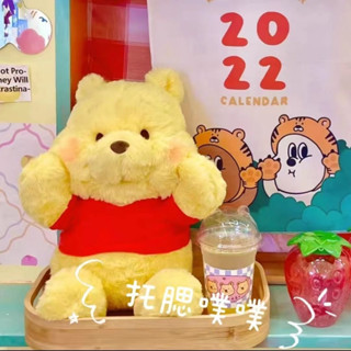 🔥限時 免運🔥維尼熊抱枕 小熊公仔 娃娃 毛絨玩具 超軟 女生 睡覺玩偶 生日禮物 (24CM) 生日禮物 送閨蜜 可愛