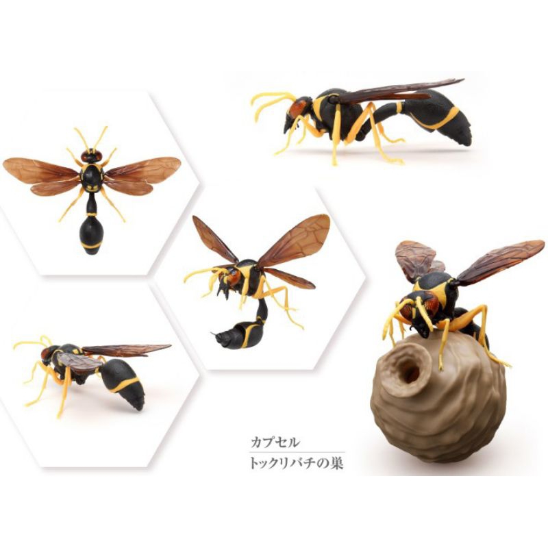 BANDAI 萬代 蜜蜂 胡蜂 德利蜂 虎頭蜂 甲蟲 獨角仙 鍬形蟲 扭蛋 環保扭蛋