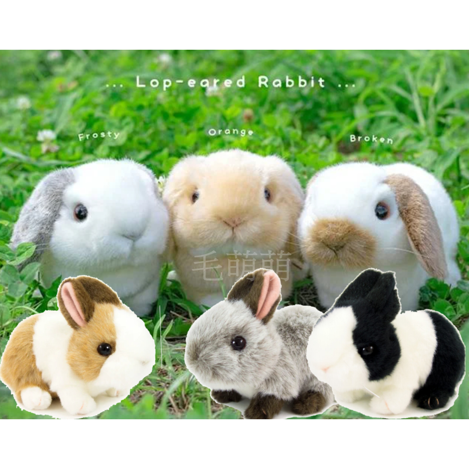 現貨🌸日本 吉德 仿真  兔子 兔 兔兔 垂耳兔 小兔子 療癒系 絨毛 交換禮物 玩偶 娃娃 布偶 交換 禮物