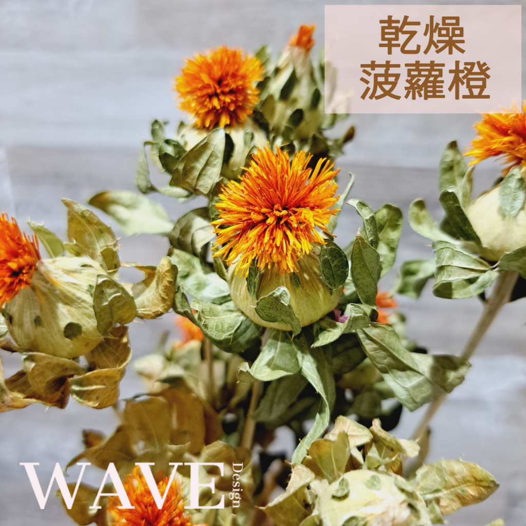 《WAVE Design 》乾燥菠蘿橙 紅花 川紅花 菠蘿橙 乾燥花材 天然乾燥花 花材 花藝材料 永生花 DIY