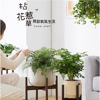 花架落地 北歐十字花架 陽臺客廳魚缸花盆 植物綠蘿多肉盆栽架 花架子