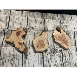【原木材料diy】龍柏杯墊 臺座 原木杯墊 木頭 創作diy