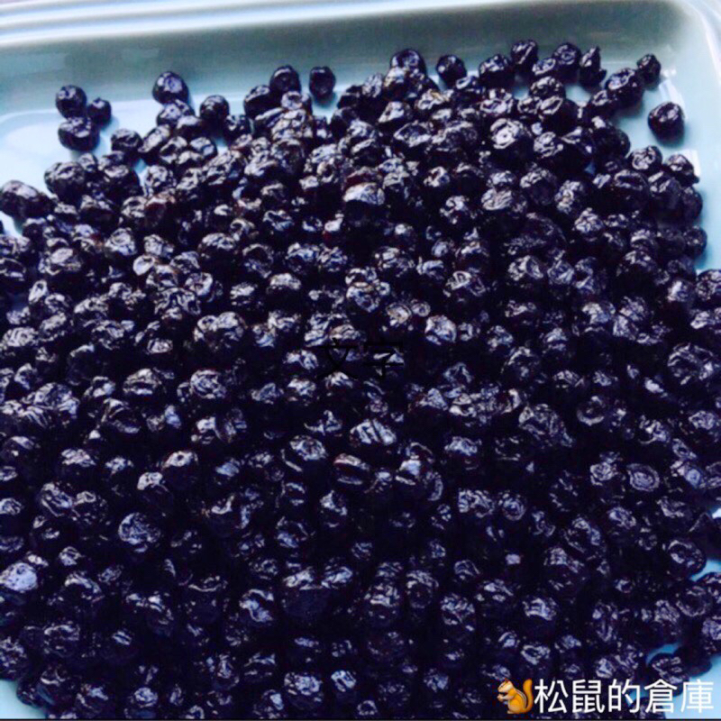 【松鼠的倉庫】美國 Graceland 野生小藍莓乾 藍莓果乾 栽種大顆藍莓乾 烘焙果乾 蜜餞零食 水果乾