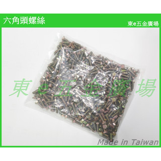 東e五金廣場~~ 六角頭螺絲 六角頭 螺絲 一般螺絲 M6