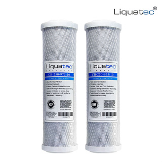 【LIQUATEC】壓縮活性碳濾心 CTO｜一年份 2支組合｜美國 LIQ NSF42認證 10英吋通用規格濾芯 第二道