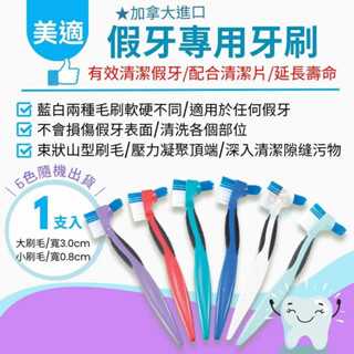 【全館699超商免運】加拿大美適 Maxill 假牙專用牙刷1入(顏色隨機出貨) 憨吉小舖
