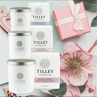 全新Tilley 皇家特莉澳洲原裝微醺大豆香氛蠟燭