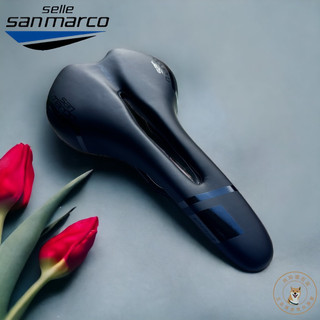 現貨 Sanmarco power era 超流線形人體工學中空座墊/坐墊/座椅