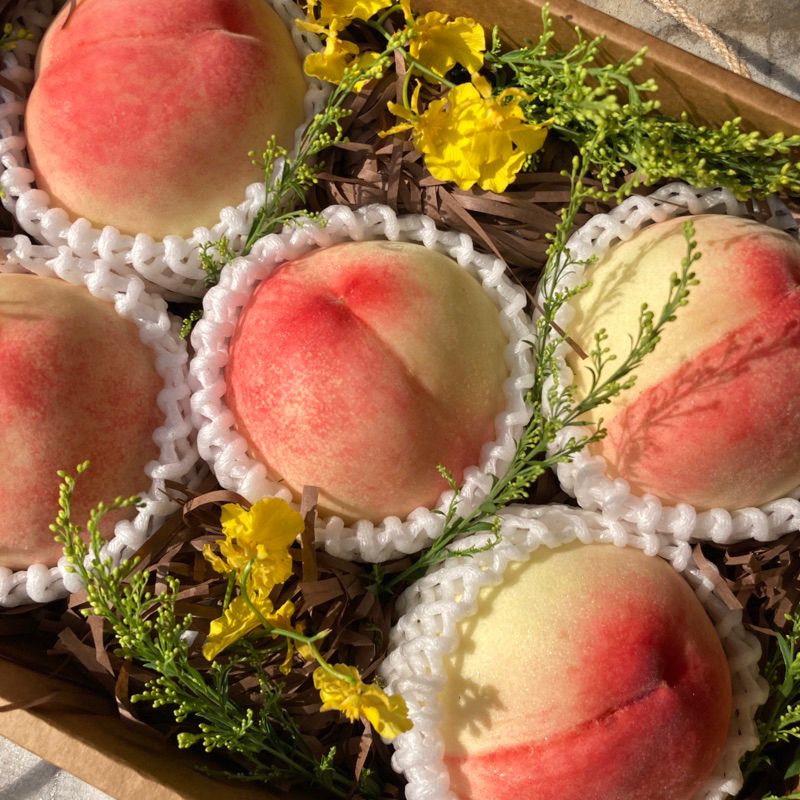 桃　白鳳　成木 桃 白鳳 成木 代表桃品種有白鳳同川中島白桃白鳳係七月中至下旬收成