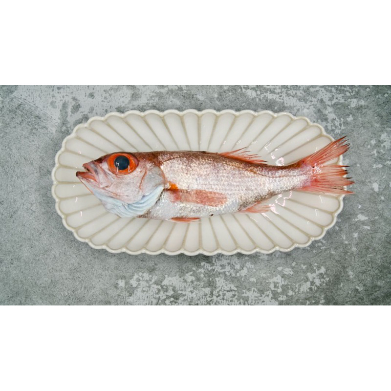 【漁大發】野生紅喉魚 當日現撈急凍
