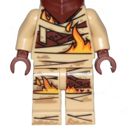 &lt;樂高人偶小舖&gt;正版樂高LEGO 身體+腳2 火焰蛇 6268089 6268098 旋風忍者 樂高配件 沒有頭