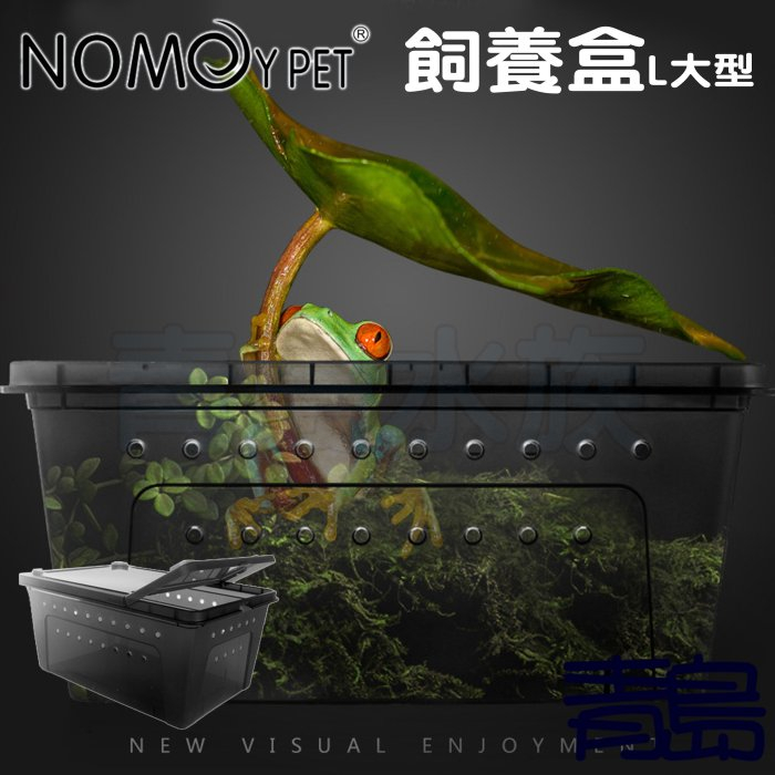 【青島水族】NOMO諾摩-掌上名蛛 爬蟲飼養盒 可堆疊飼育盒 爬蟲箱==L大型/透明黑