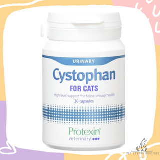 Protexin Cystophan for Cats 安泌利 泌尿保健 30錠