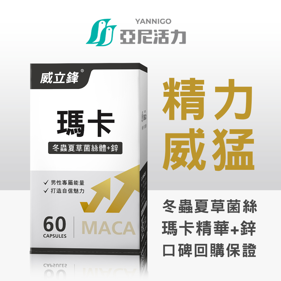 現貨《威立鋒瑪卡maca》男性專用瑪卡+鋅[二入享折扣]祕魯馬卡 精氨酸 冬蟲夏草  男性保健食品 馬卡推薦