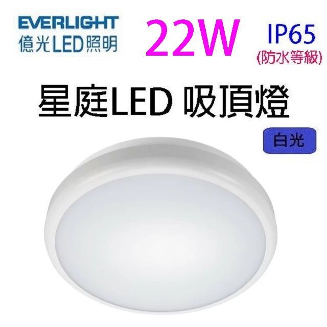 億光22W 星庭 LED 吸頂燈(白光)