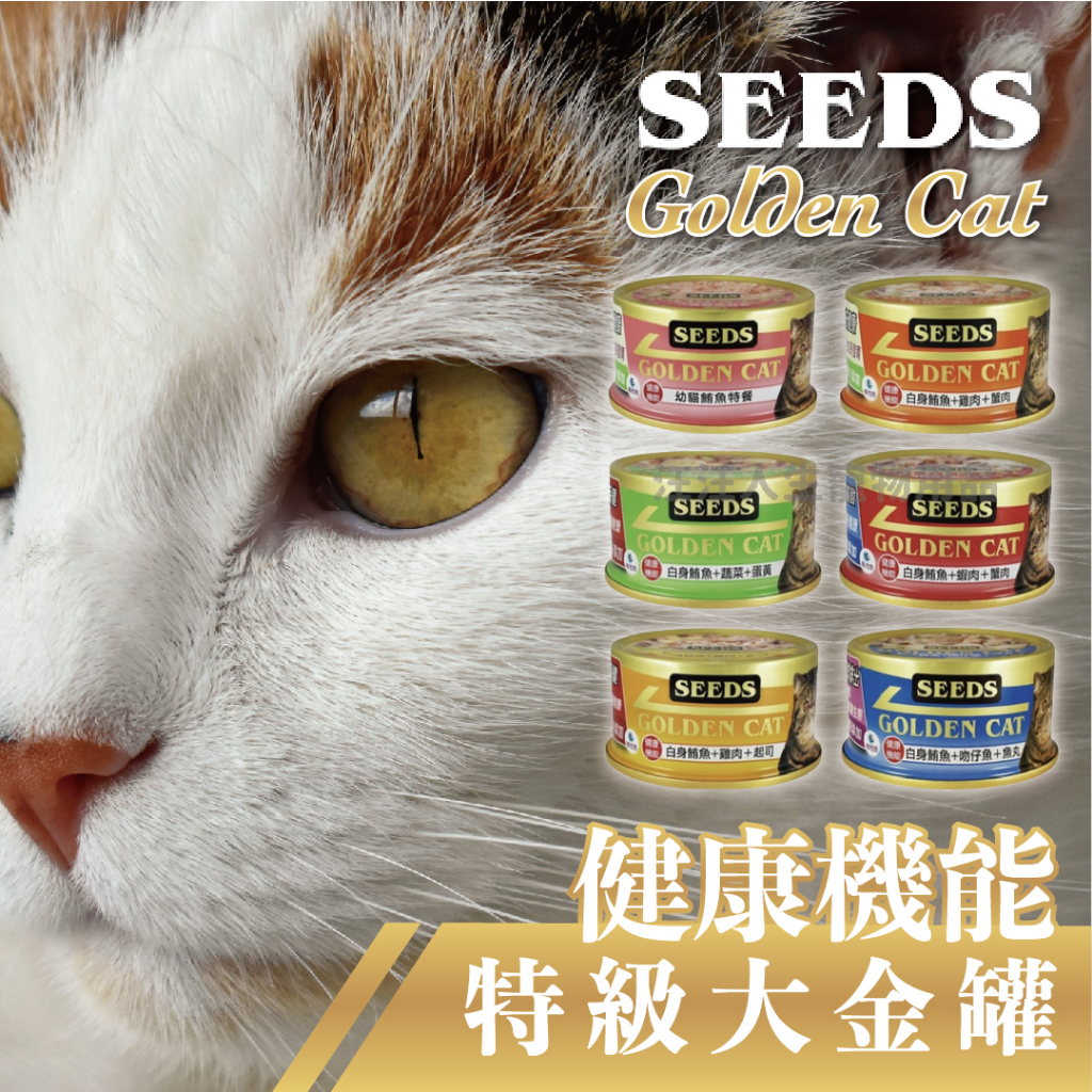 SEEDS Golden Cat健康機能特級金貓罐 170g 大金罐 貓罐 貓咪罐罐 貓食品 寵物罐頭 惜時 愛貓