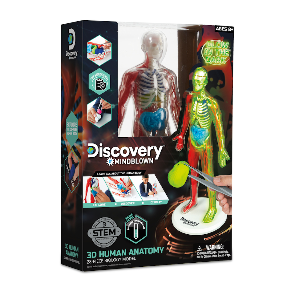 Discovery 夜光版人體探索3D拼圖（28件組）4894088067385