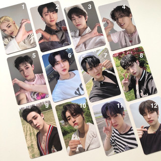 Stray Kids 專卡 Maxident (方燦 LeeKnow 彰彬 鉉辰 HAN 昇玟)