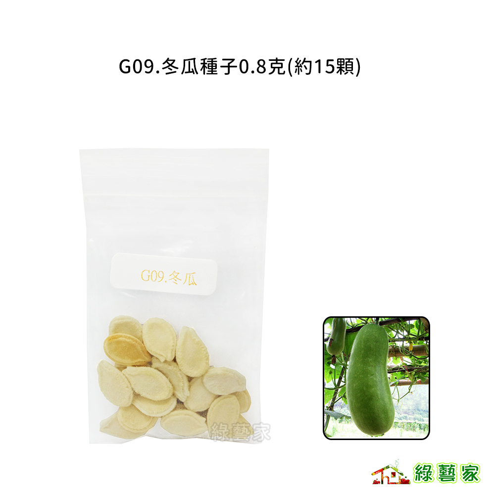 G09.冬瓜種子0.8克(約15顆)(青殼長冬瓜，果長)果菜類種子【綠藝家】