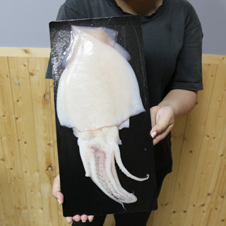 薄鹽魷魚一夜幹【金龐水產海鮮批發】F025 夜市 烤肉 串燒 燒烤