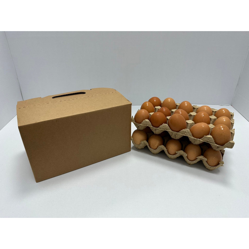 現貨 9號盒 30粒素色 雞蛋 牛皮紙盒 手提盒 公版雞蛋盒  雞蛋箱 公版禮盒 雞蛋盒一次性 台灣製工廠直營絕對優惠