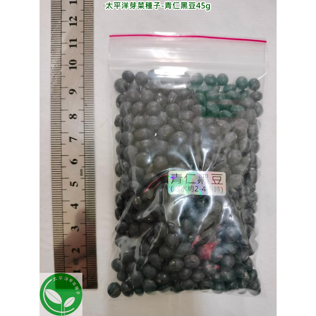 正宗台灣青仁黑豆45g-高雄-約405顆-可水耕/土耕/煮食-85%以上高發芽率-芽菜種子/豆芽菜種子/土耕種子