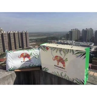 泰國新皇家100%天然乳膠枕頭免運費/臺灣現貨當天寄/高低按摩枕/正品保證！泰國代購💜泰有緣小棧
